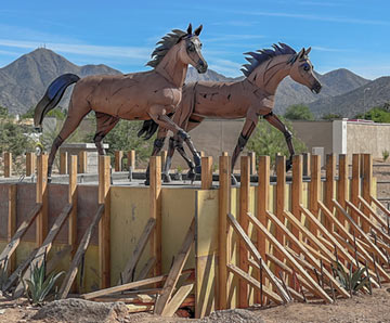 Horses installed