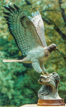 Hawk wood carving